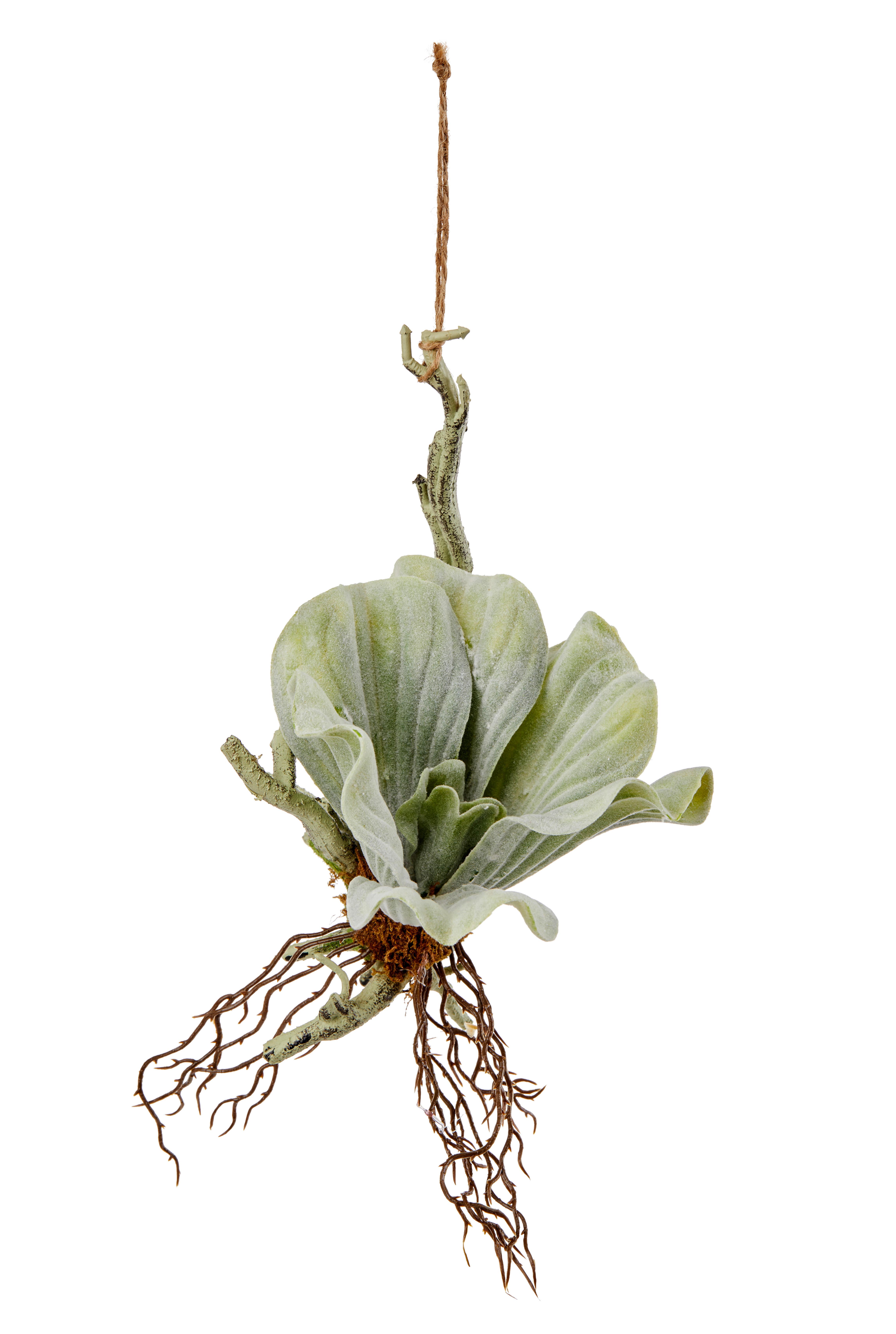 Pozsgás Ronny - barna/zöld, Natur, műanyag (28cm)