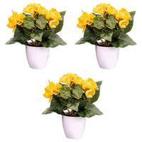 Kunstpflanze Blühpflanzen Gelb/grün/weiß, 24 Cm - Gelb/Weiß, Design, Kunststoff (24cm) - P & B
