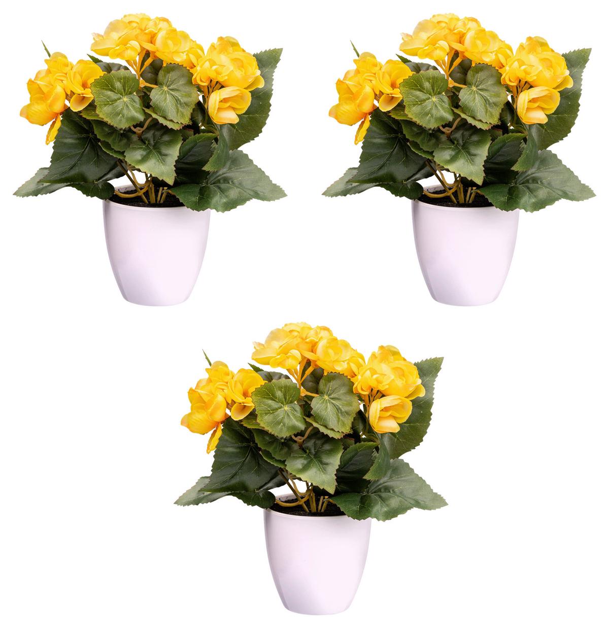 Kunstpflanze Blühpflanzen Gelb/grün/weiß, 24 Cm - Gelb/Weiß, Design, Kunststoff (24cm) - P & B