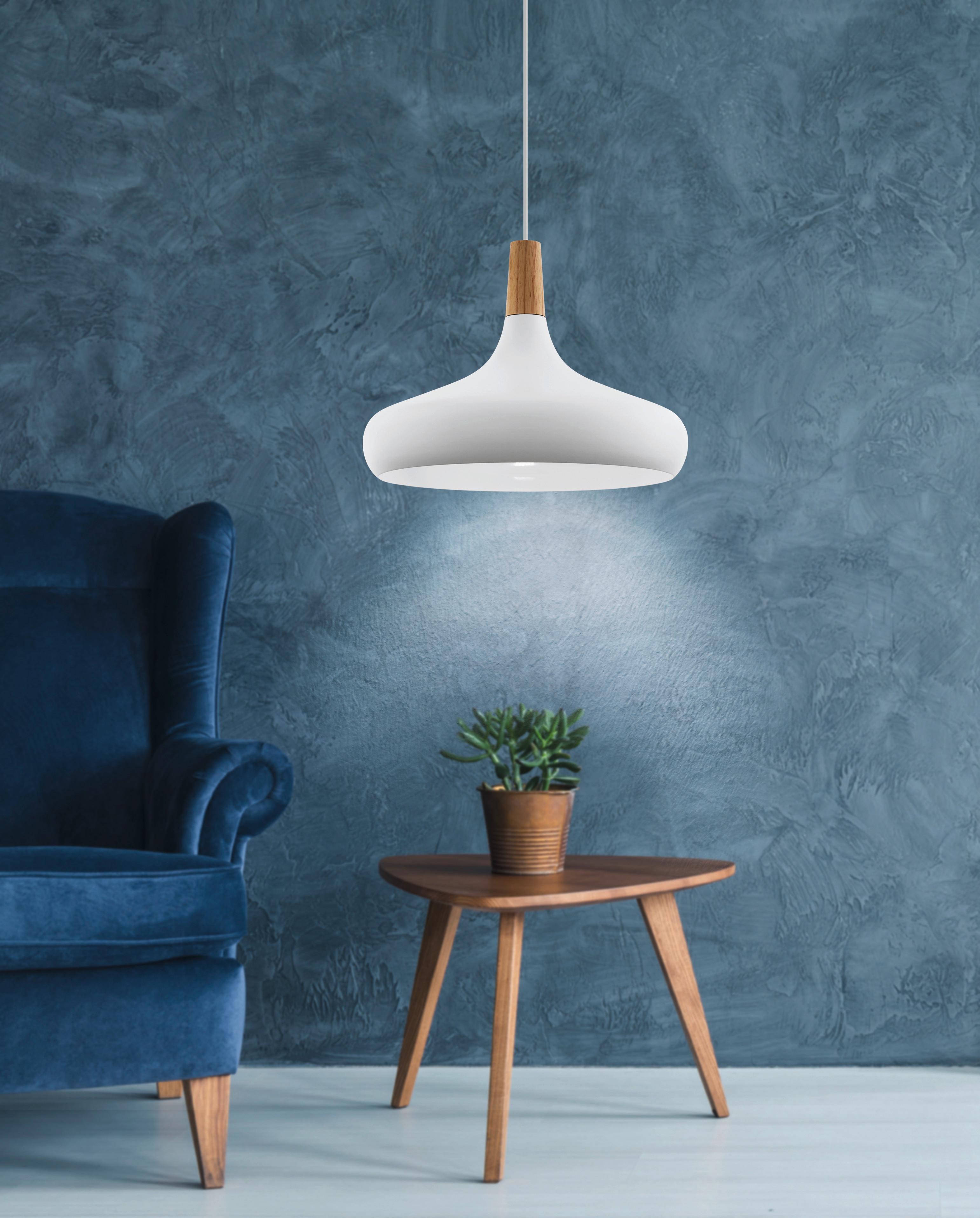 Hängeleuchte Sabinar H: 110 cm 1-Flammig, Braun/Silberfarben - Silberfarben/Braun, Design, Holz/Metall (40/110cm) - Eglo