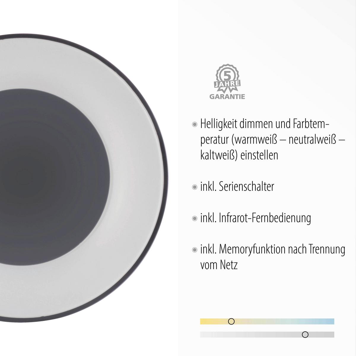 Led-deckenleuchte Anika Ø 48 Cm Dimmbar Mit Fernbedienung - Anthrazit, Basics, Kunststoff/Metall (48/7,8cm)