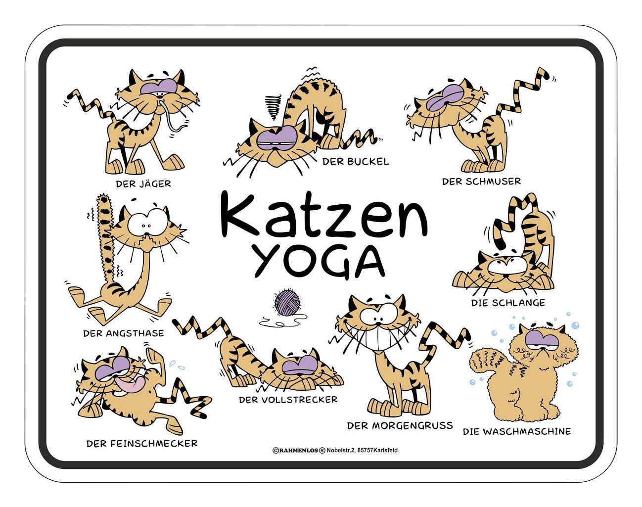 Dekoschild Katzen Yoga Multicolor 22x17 cm