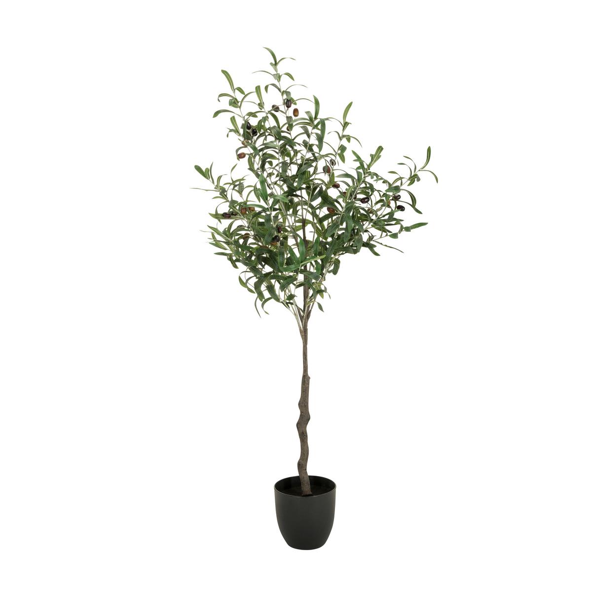 Kunstpflanze Olive - Schwarz/Braun, Basics, Kunststoff (45/120/45cm) - MID.YOU