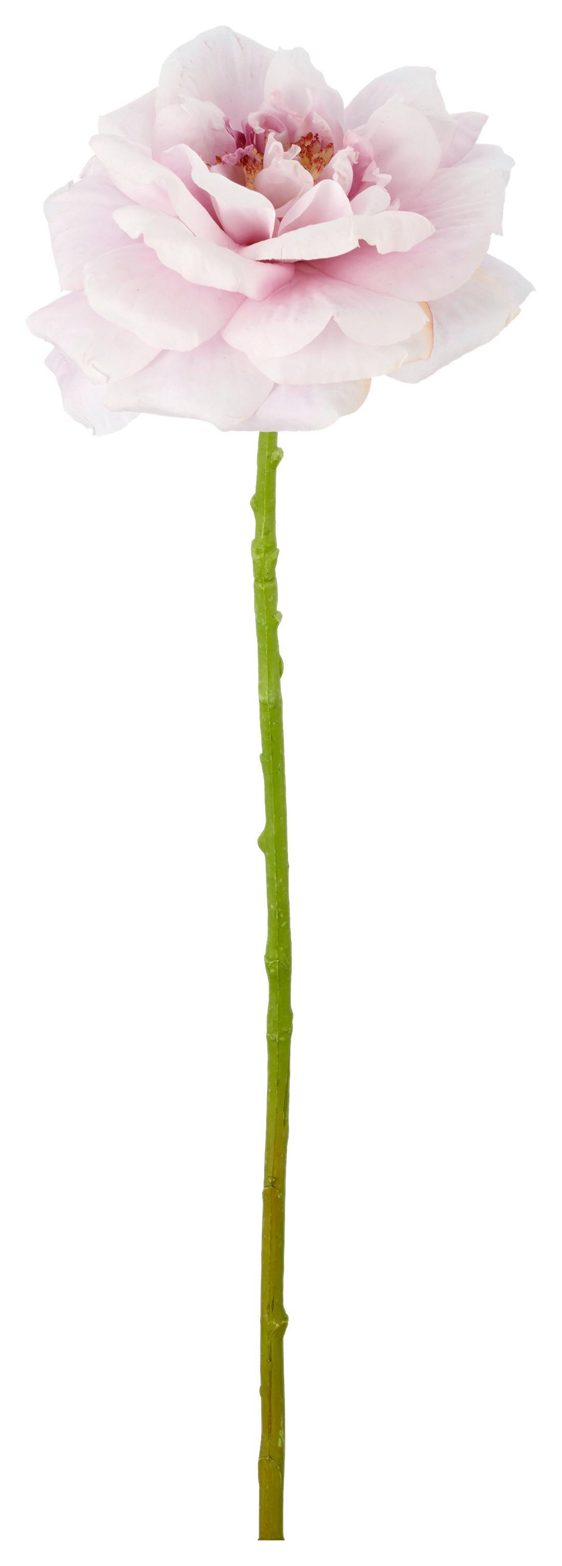 Ruža ROSE II -PAZ- - lila/zelená, Basics, kov/textil (63cm) - Mömax