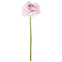 Ruža ROSE II -PAZ- - lila/zelená, Basics, kov/textil (63cm) - Mömax