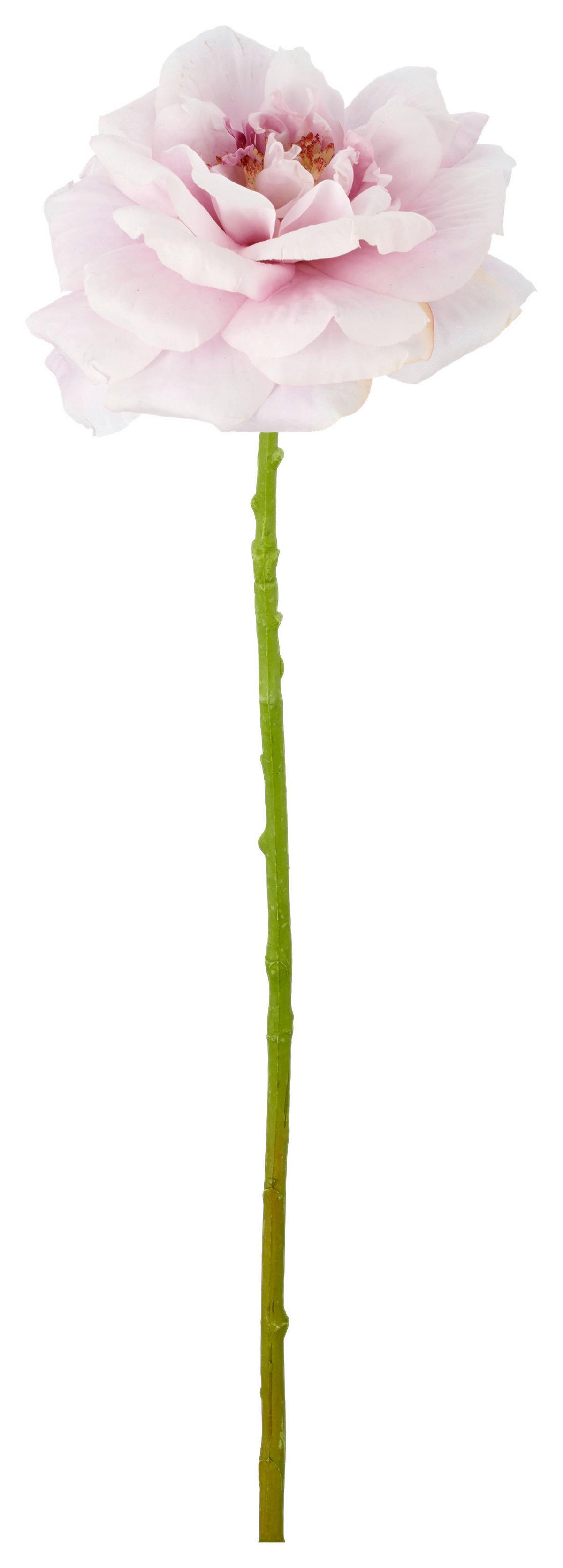 Ruža ROSE II -PAZ- - lila/zelená, Basics, kov/textil (63cm) - Mömax