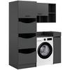 Hauswirtschaftsraum Free Anthrazit B: 126cm - Anthrazit, Basics, Holzwerkstoff (126/195/68cm) - MID.YOU