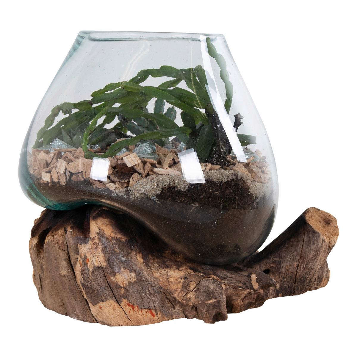 Vase Transparent Teakfarben B: 18cm - Transparent/Teakfarben, Design, Glas/Holz (18/20/15cm)