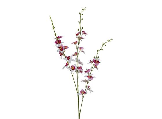 Orchidej 3018125mm-81 - Basics (100cm) Orchidej 3018125mm-81 - Basics (100cm)