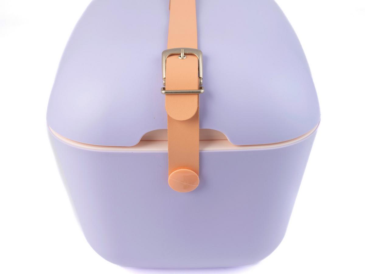 Kühlbox Lxbxh: Ca. 45,3x30,9x29 Cm - Lila, Basics, Kunststoff (45,3/30,9/29cm) - Polarbox