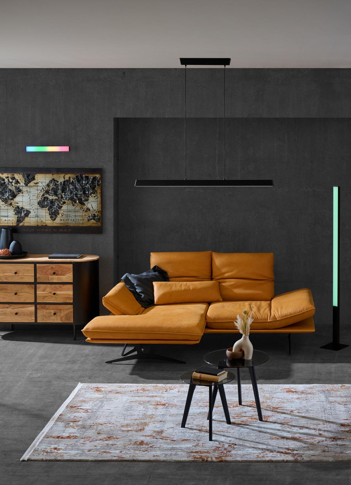 ZÁVESNÉ LED SVIETIDLO SIMOLARIS-Z - čierna/biela, Design, kov/plast (122/5,5/110cm)