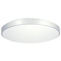 LED-Deckenleuchte 41586-24 Ø 50,5 cm mit Fernbedienung - Silberfarben/Opal, Basics, Kunststoff/Metall (50,5/8cm)