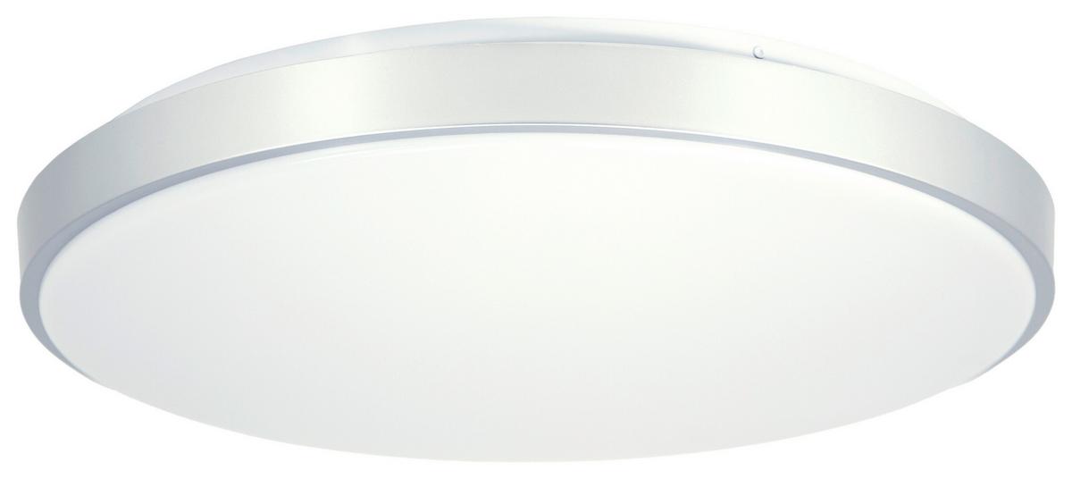 LED-Deckenleuchte 41586-24 Ø 50,5 cm mit Fernbedienung - Silberfarben/Opal, Basics, Kunststoff/Metall (50,5/8cm)