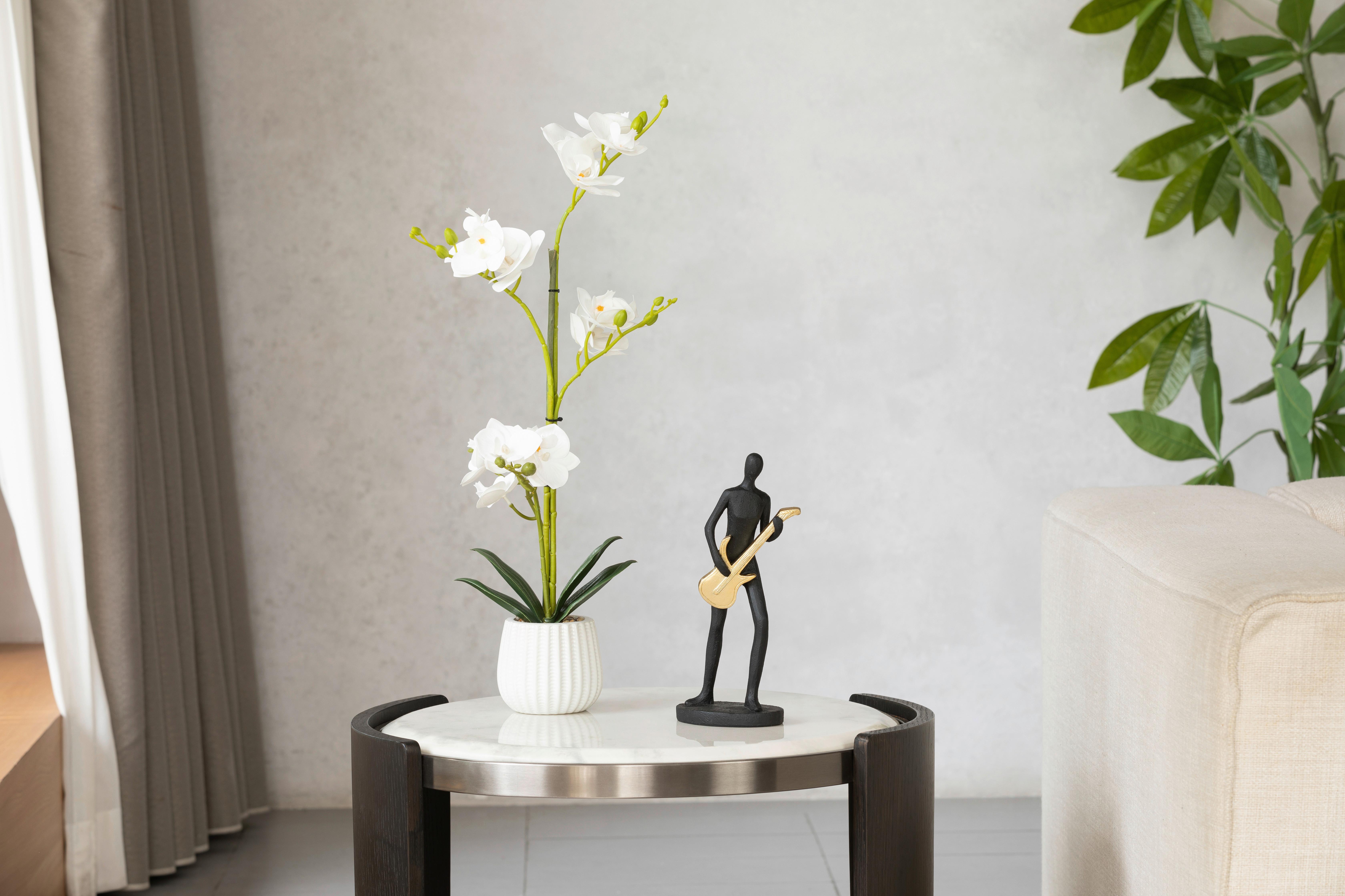 Orchidee Marlene