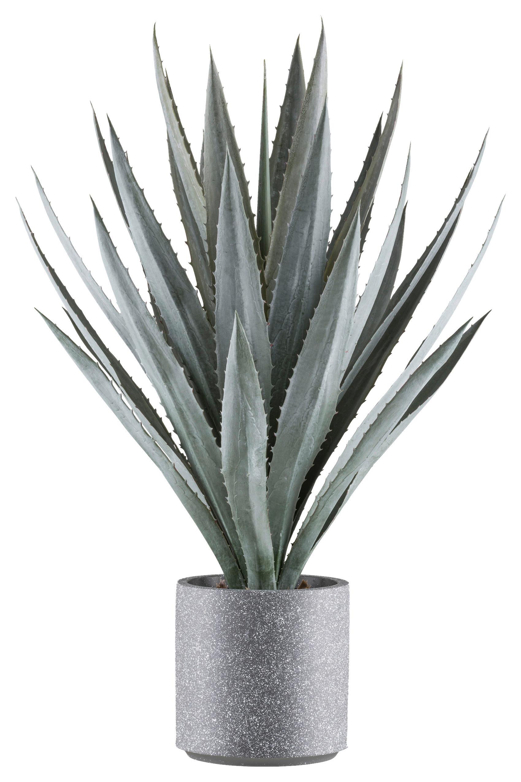 Kunstpflanze Sukkulenten Grau/Grün, 110 cm - Grau/Grün, Design, Kunststoff (110cm) - P & B