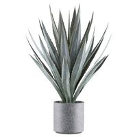 Kunstpflanze Sukkulenten Grau/Grün, 110 cm - Grau/Grün, Design, Kunststoff (110cm) - P & B