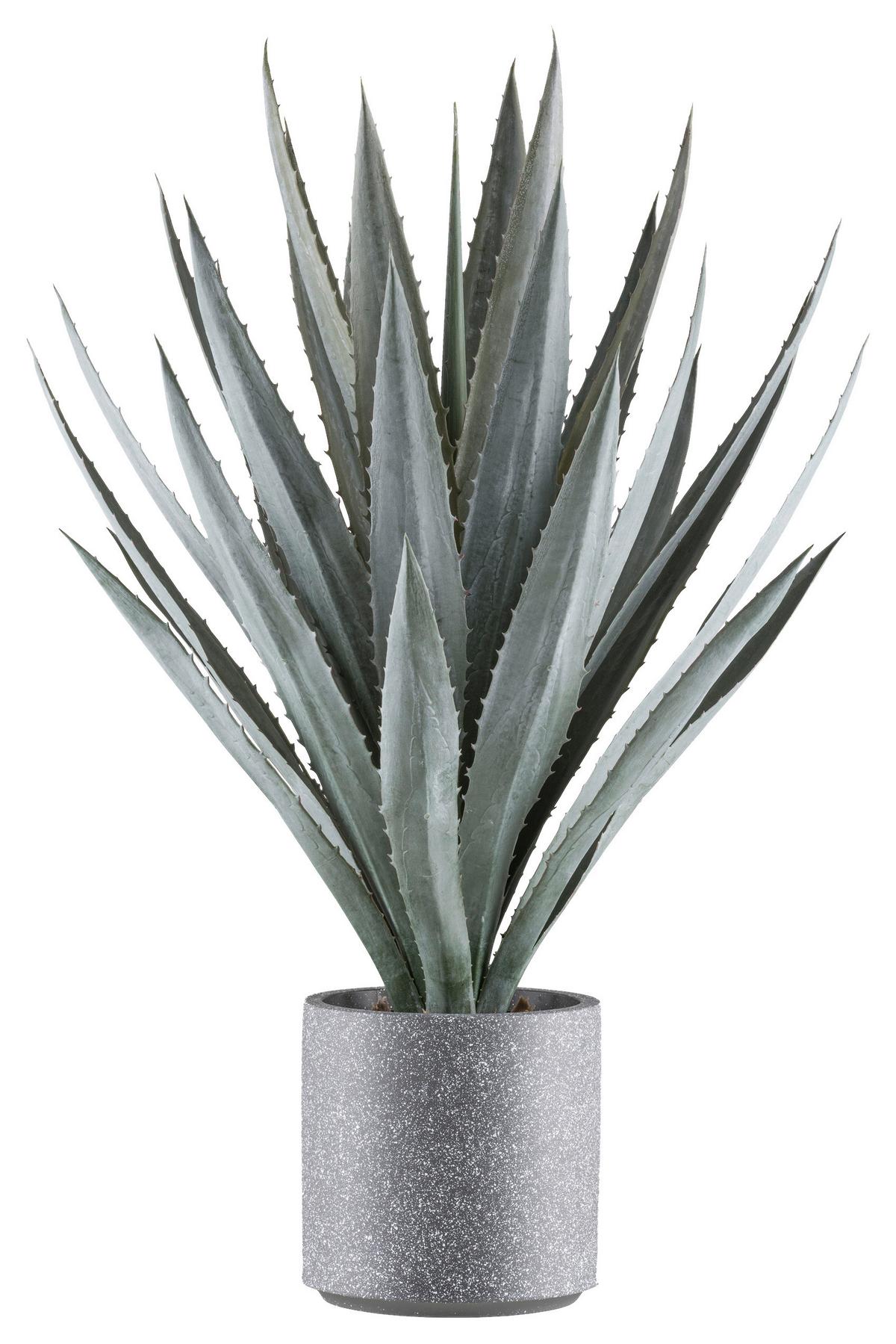 Kunstpflanze Sukkulenten Grau/Grün, 110 cm - Grau/Grün, Design, Kunststoff (110cm) - P & B