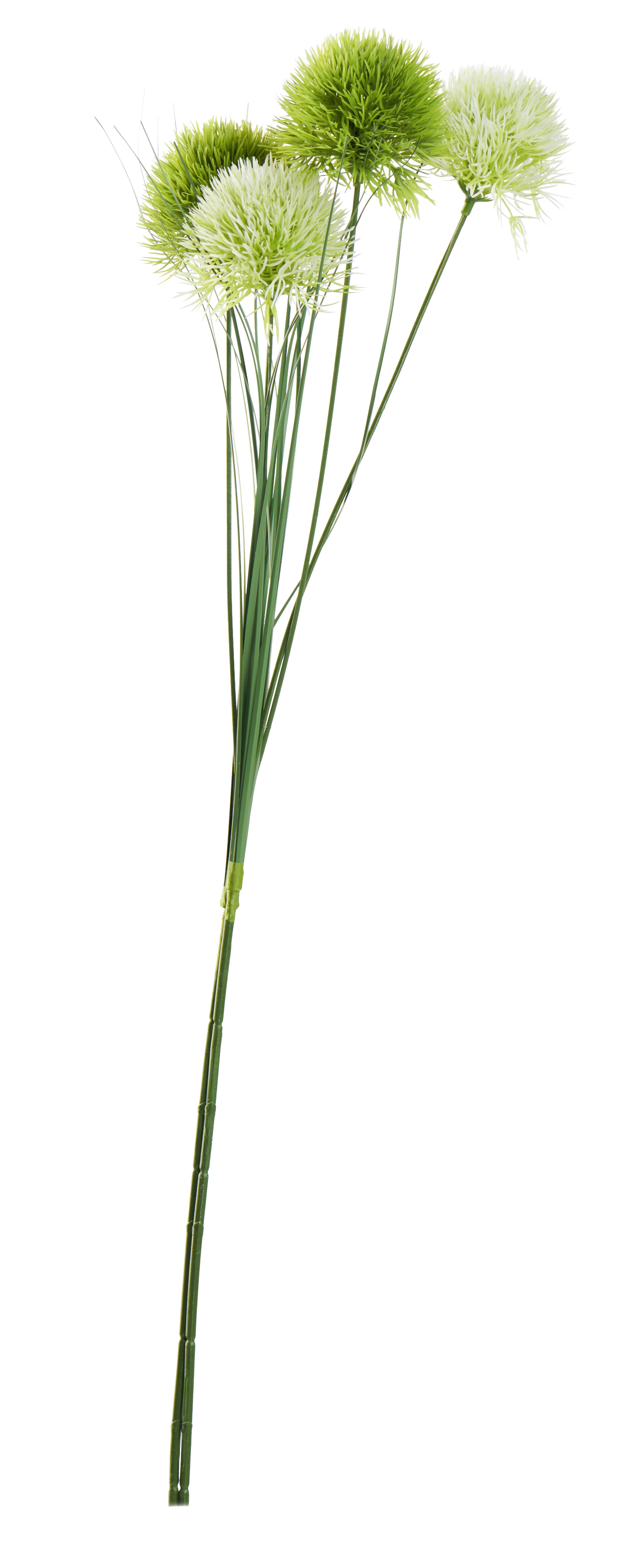 Kunstpflanze Allium Grün oder Weiß L: 60 cm, Aimee - Basics, Kunststoff (60cm)