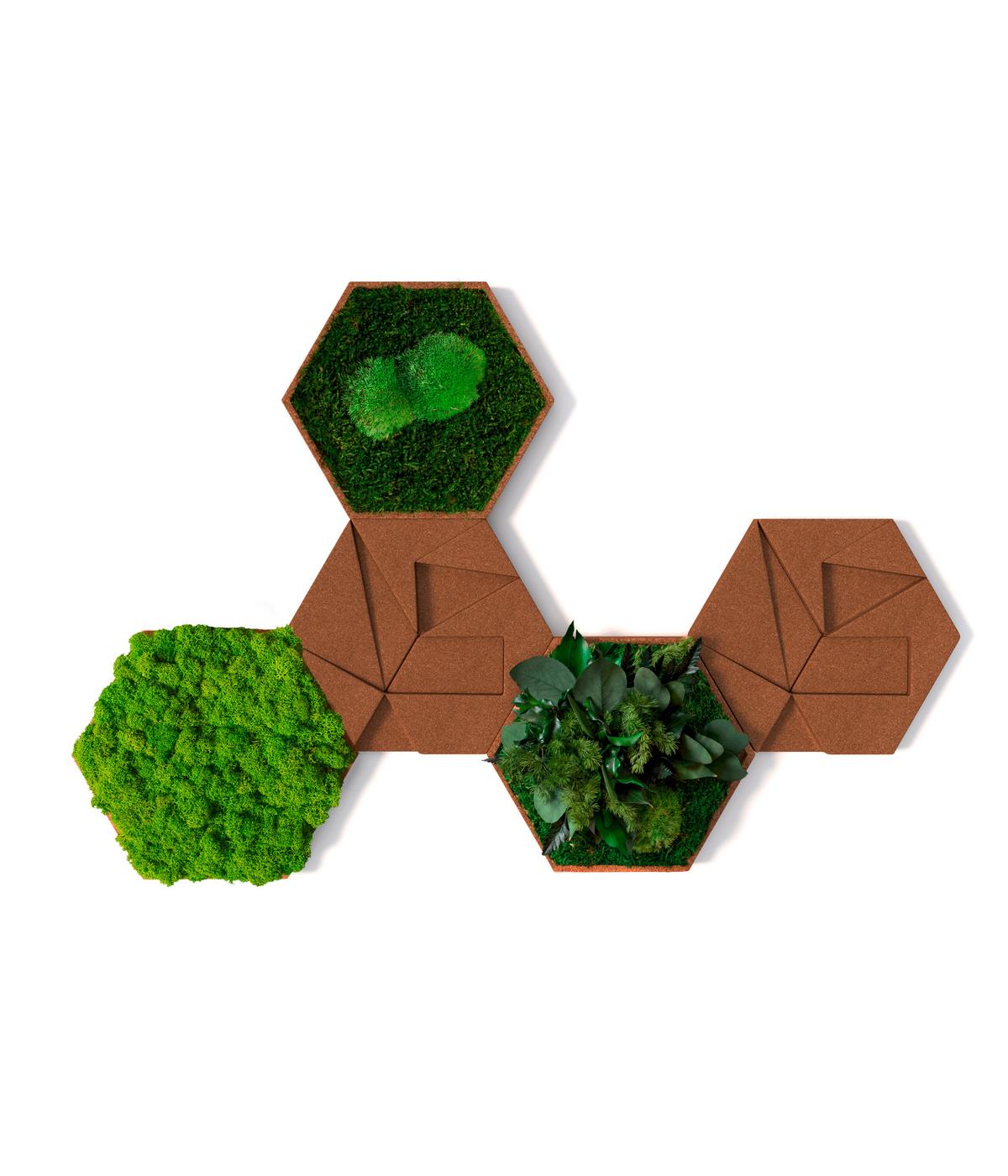 Moospaneel Grün Hellbraun B: 19 Cm - Hellbraun/Grün, Basics, Naturmaterialien/Holz (19/22cm)