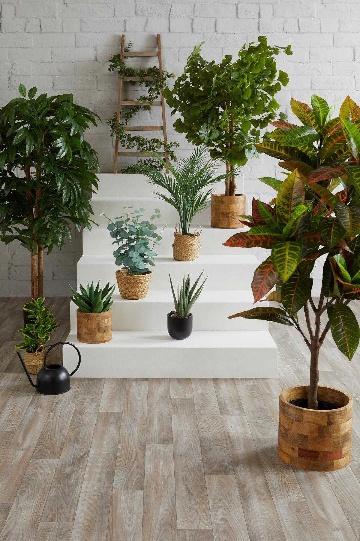 Kunstpflanze Sanella - Schwarz/Grün, MODERN, Naturmaterialien/Kunststoff - Luca Bessoni