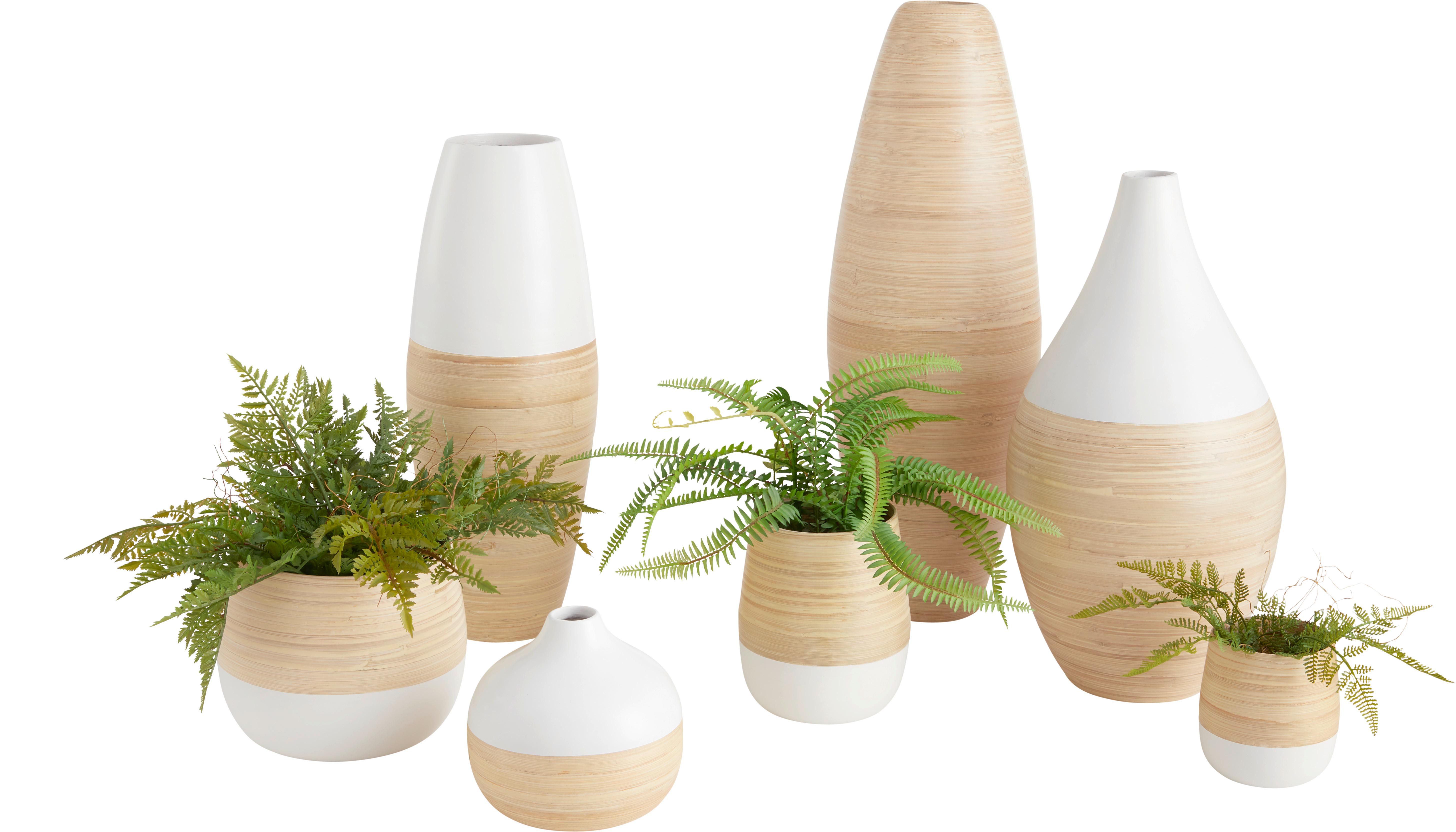 VÁZA NATURELLE - biela/prírodná farba, Lifestyle, drevo (19/50cm) - Zandiara