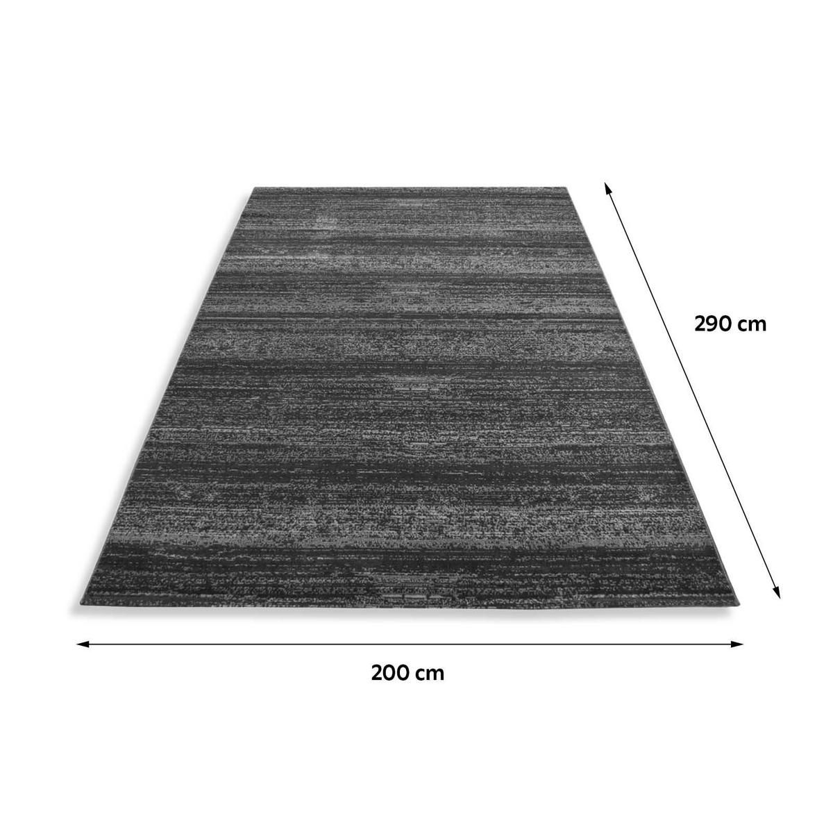 Webteppich Grau Naturfaser Plus 200x290 cm - Grau, Design, Textil (200/290cm)
