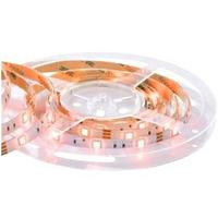 Led-stripe 300 Cm Warmweiß - Basics, Kunststoff (300/1/0.3cm) - Globo