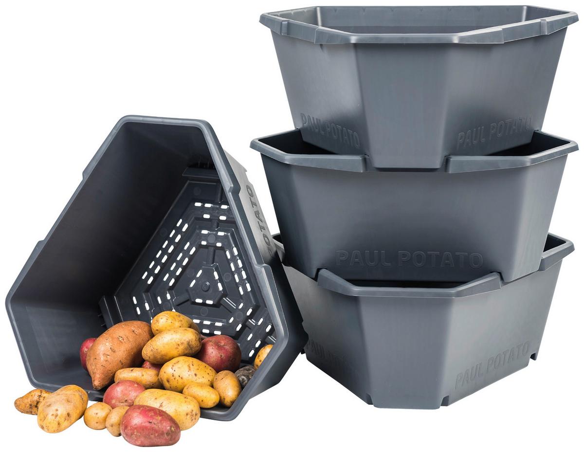 Übertopf Paul Kunststoff Outdoor B/H/T: 44x65x44 cm - Anthrazit, Basics, Kunststoff (44/65/44cm) - Gusta Garden