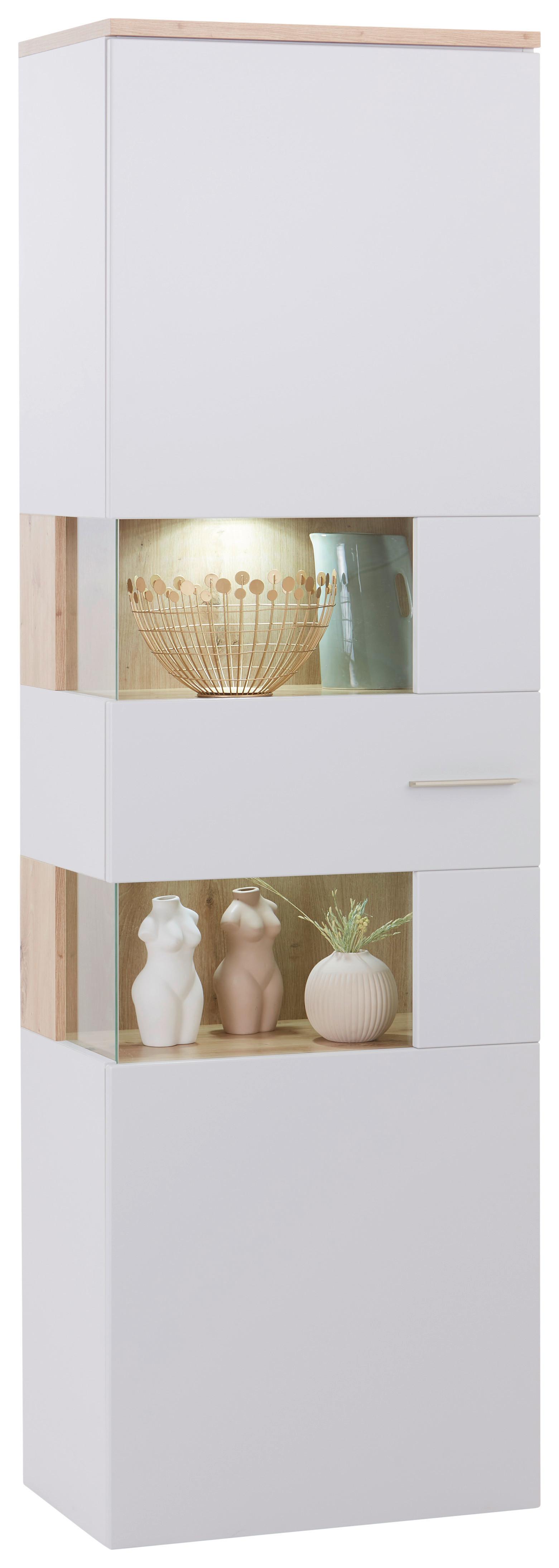 Vitrine mit teilverglaster Drehtür
