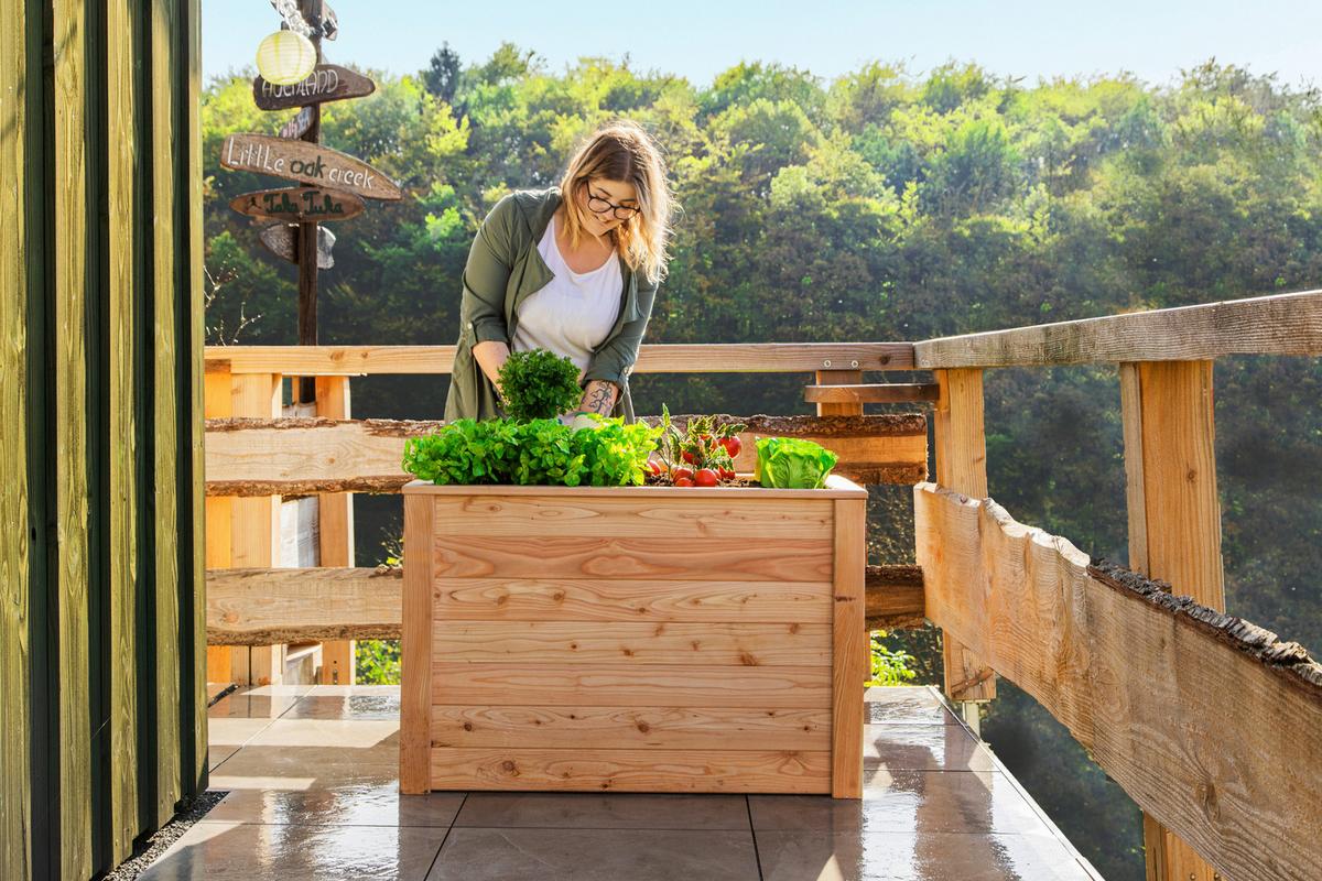 Hochbeet Hochbeet Lärche 100 - Lärchefarben, Basics, Holz (65/66/100cm)