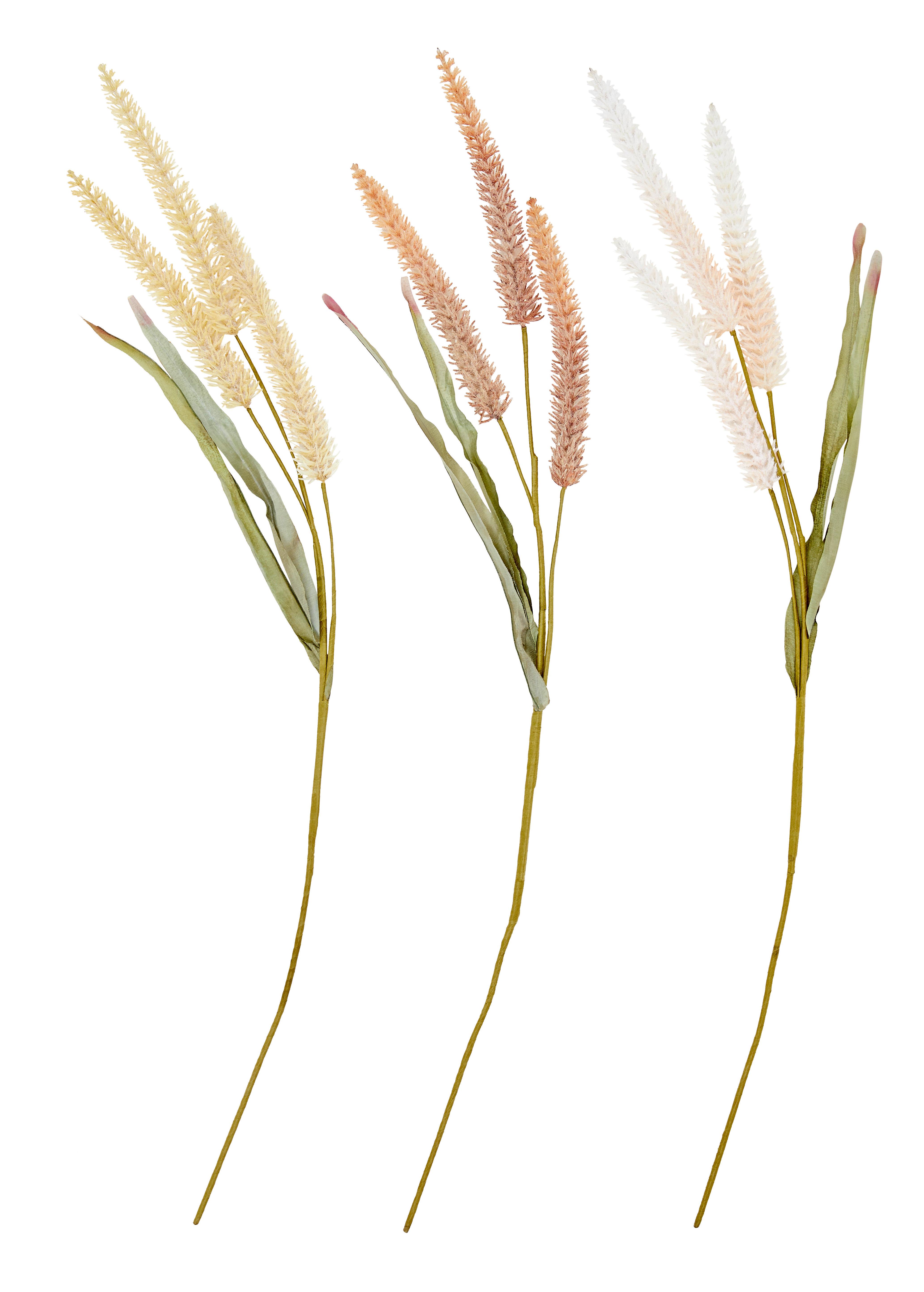 Kunstpflanze Trockenblume L: 90 cm, Eboni