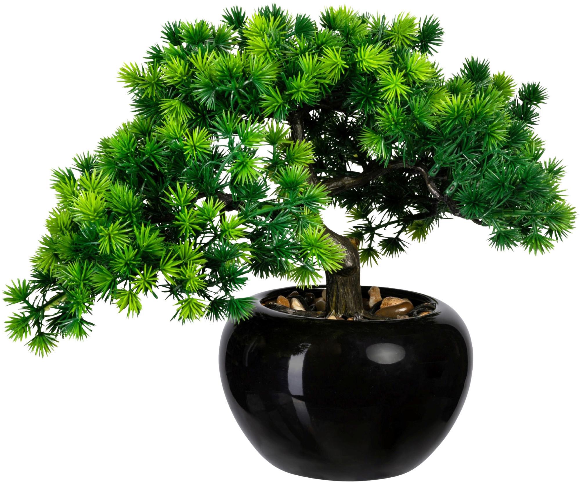 Kunstpflanze, Bonsai Grün, Inkl. Topf, H: 26 Cm - Schwarz/Braun, Design, Keramik/Kunststoff (26cm) - P & B