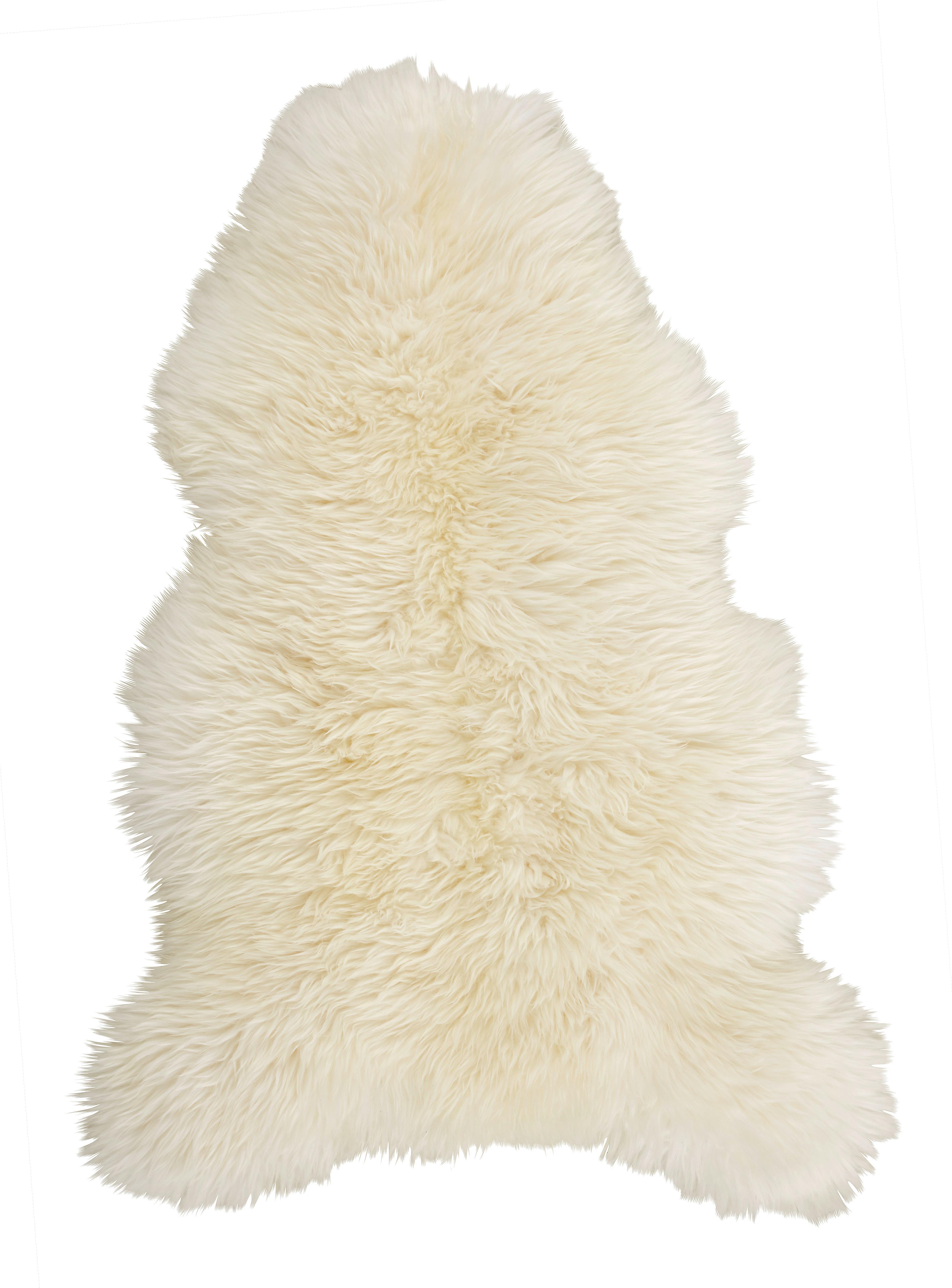 Ovčí Kůže Jenny, 90-105/60cm, Bílá - bílá, kožešina (90-105/60cm) - Modern Living
