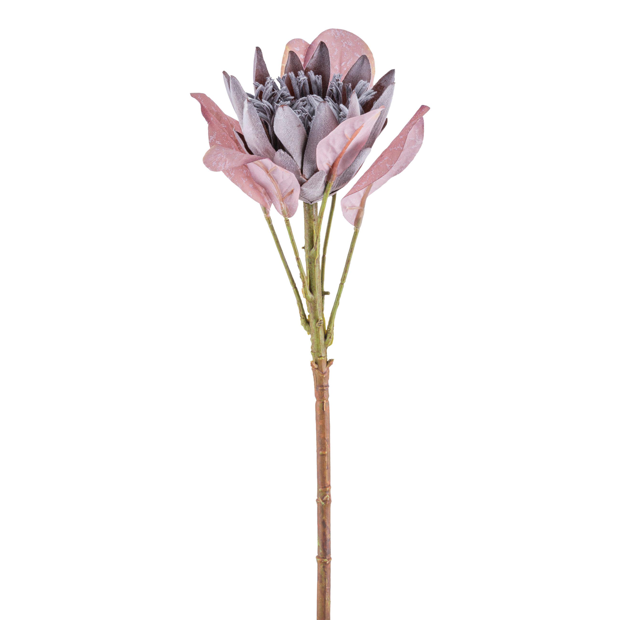 DEKORAČNÍ VĚTVIČKA PROTEA I - zelená/fialová, Konvenční, plast (52cm) - Modern Living