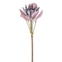 DEKORAČNÍ VĚTVIČKA PROTEA II - zelená/fialová, Konvenční, plast (52cm) - Modern Living