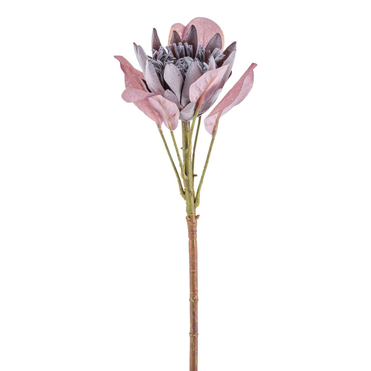 DEKORAČNÍ VĚTVIČKA PROTEA II - zelená/fialová, Konvenční, plast (52cm) - Modern Living