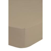 Spannleintuch Sandfarben 200x220 cm Jersey - Sandfarben, Basics, Textil (200/220cm) - MID.YOU