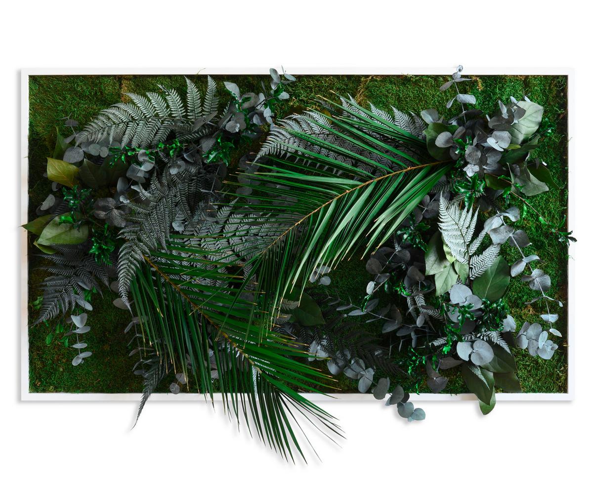 Moosbild Moos Grün B: 100 cm - Weiß/Grün, Basics, Naturmaterialien/Holz (100/60/18-22cm)