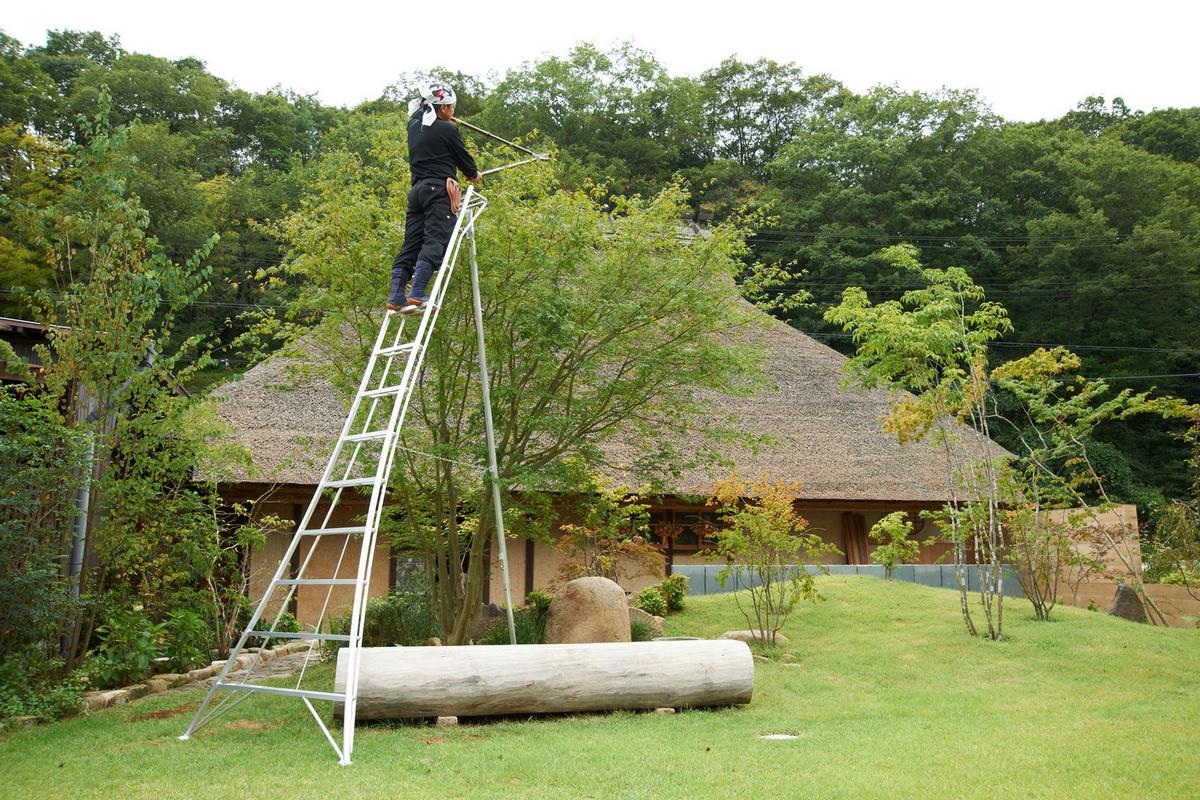 Leiter 3-Holm-Gartenleiter 360cm - Silberfarben, Basics, Metall (272/360/147cm)
