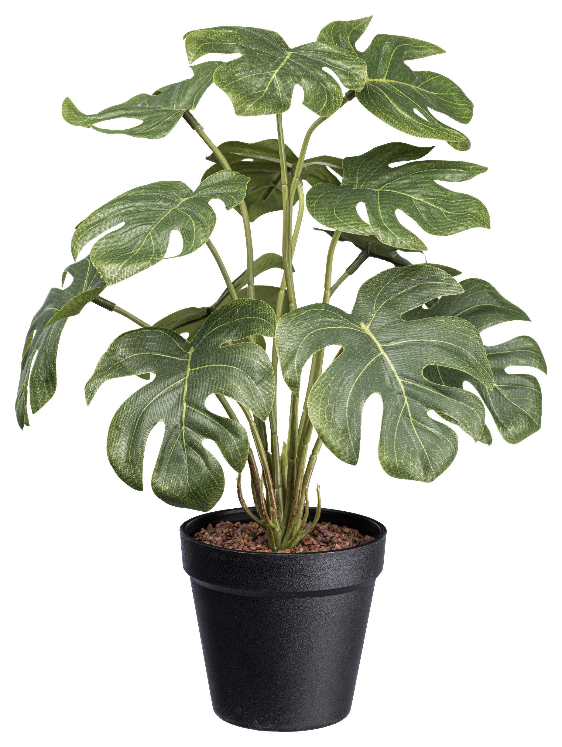 Umelá rastlina V: 38cm - čierna/zelená, Basics, plast (38cm) - Modern Living