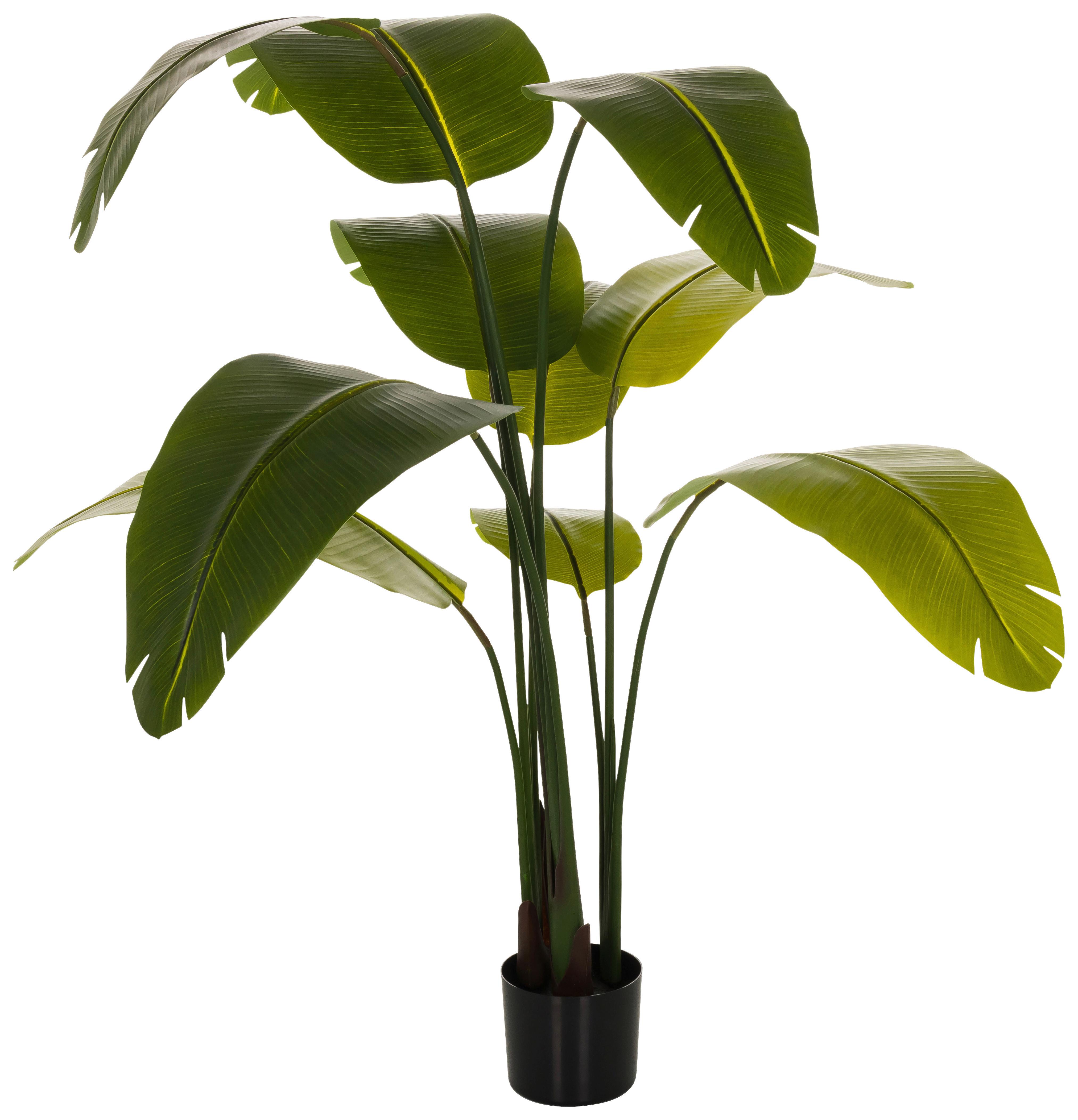 Kunstpflanze Banane - Schwarz/Grün, Basics, Kunststoff (60/170/60cm) - MID.YOU