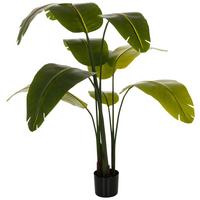 Kunstpflanze Banane - Schwarz/Grün, Basics, Kunststoff (60/170/60cm) - MID.YOU