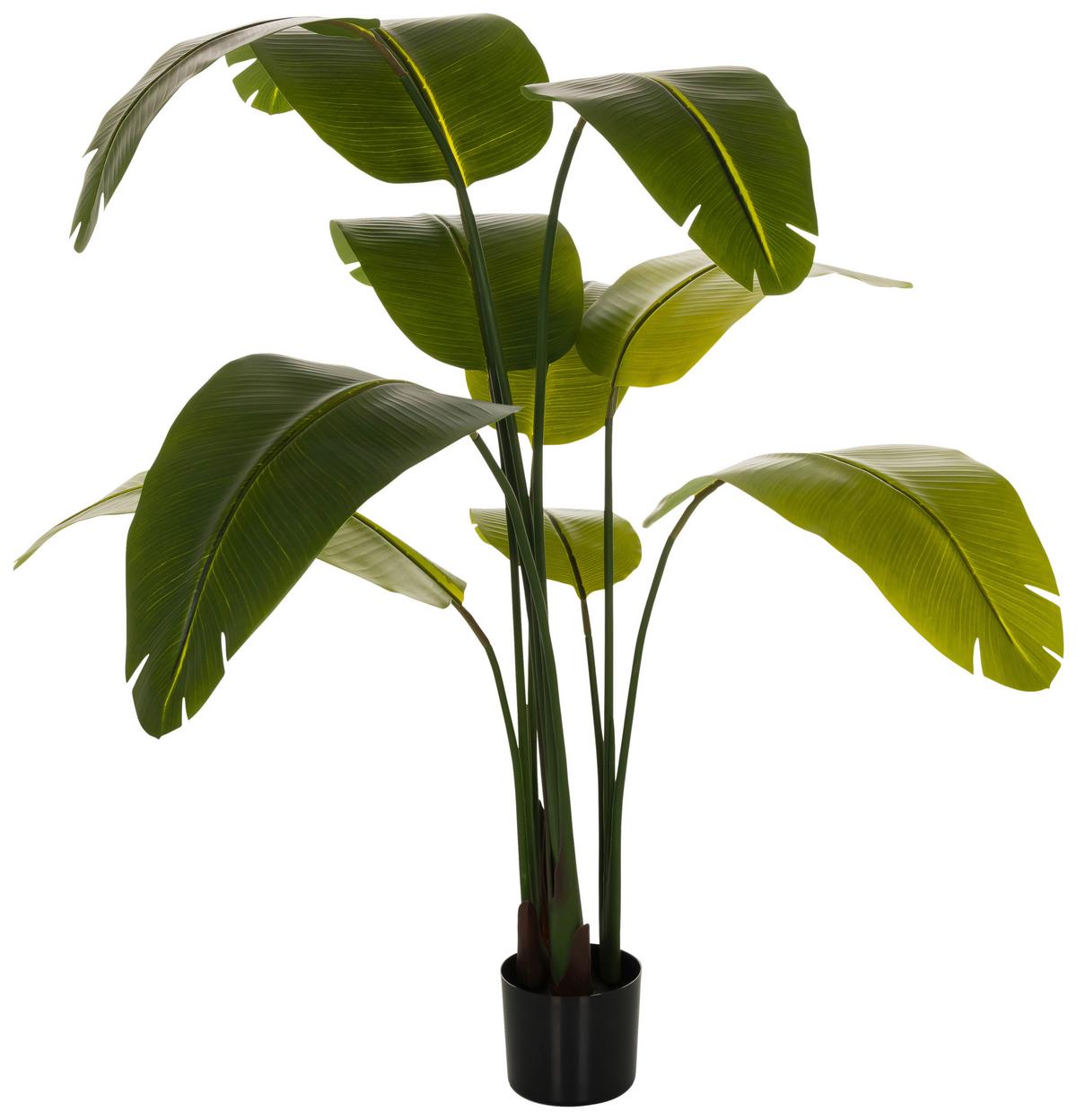 Kunstpflanze Banane - Schwarz/Grün, Basics, Kunststoff (60/170/60cm) - MID.YOU