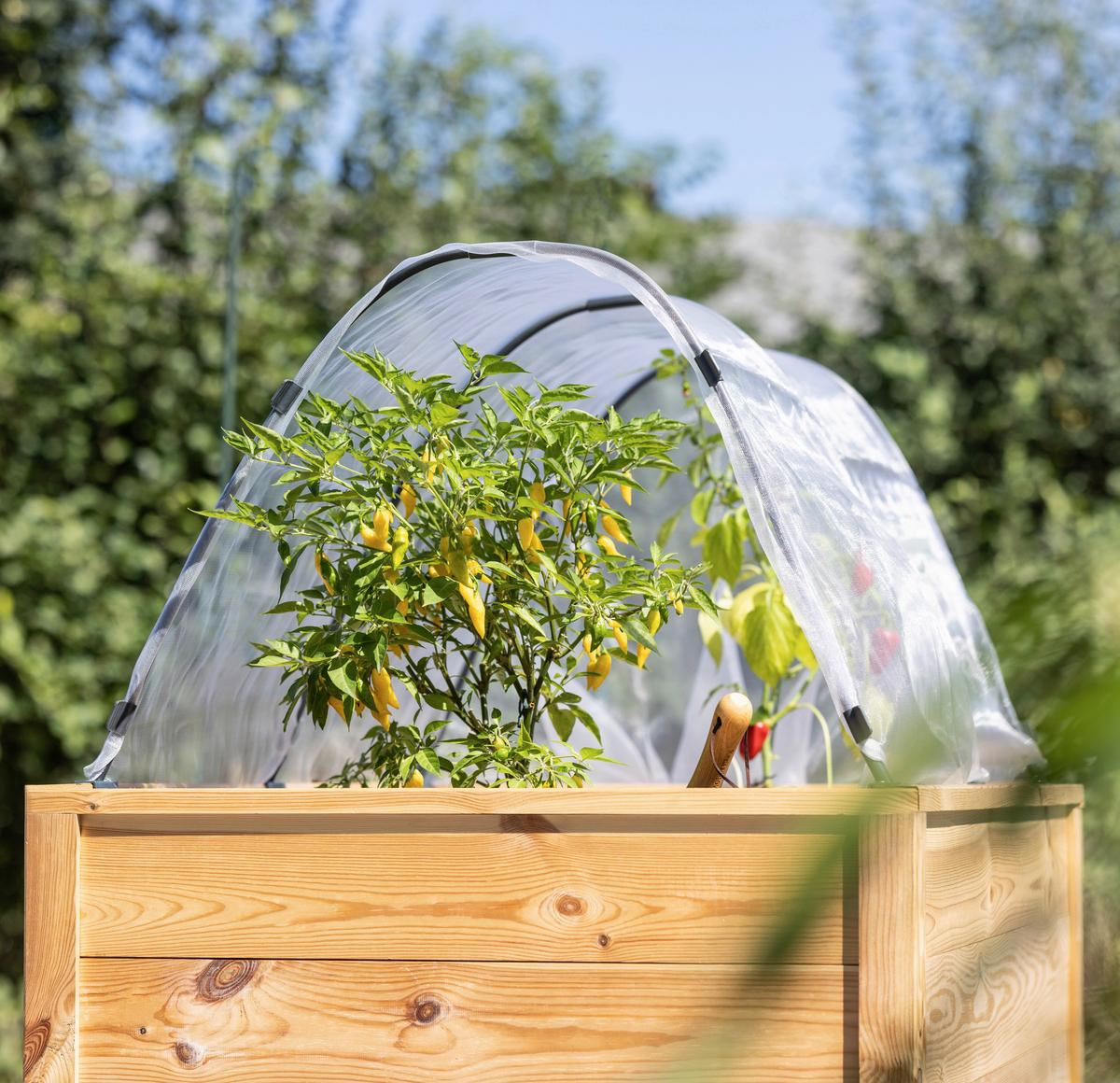 Hochbeet Tunnelbogen Weiß/transparent - Transparent/Weiß, Basics, Kunststoff (400/200cm)