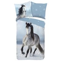 Jugendbettwäsche Dreamer Blau Grau 135x200 cm - Blau/Grau, Design, Textil (135/200cm)
