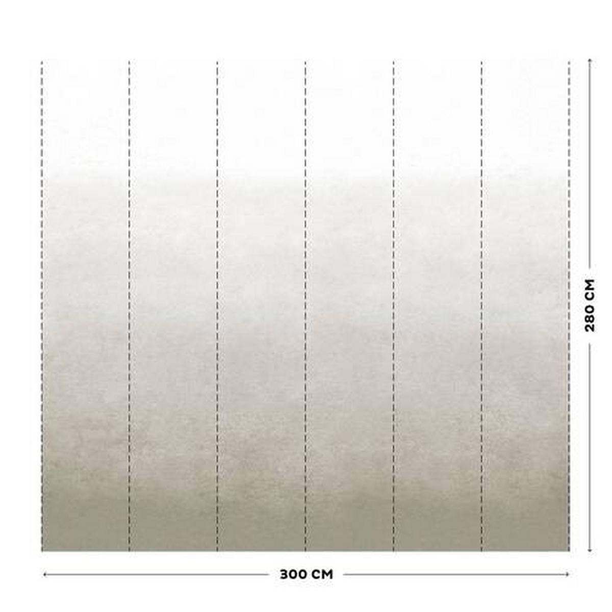 Fototapete Degrade Warm Grau - Grau, Trend, Papier/Kunststoff (300/300cm)