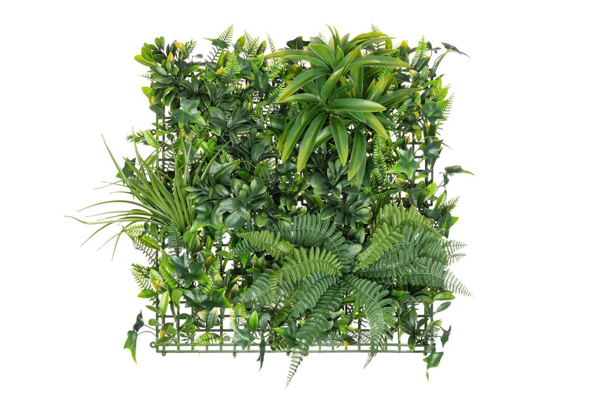 Dekogras Luis - Grün, KONVENTIONELL, Kunststoff (50/50cm) - Luca Bessoni