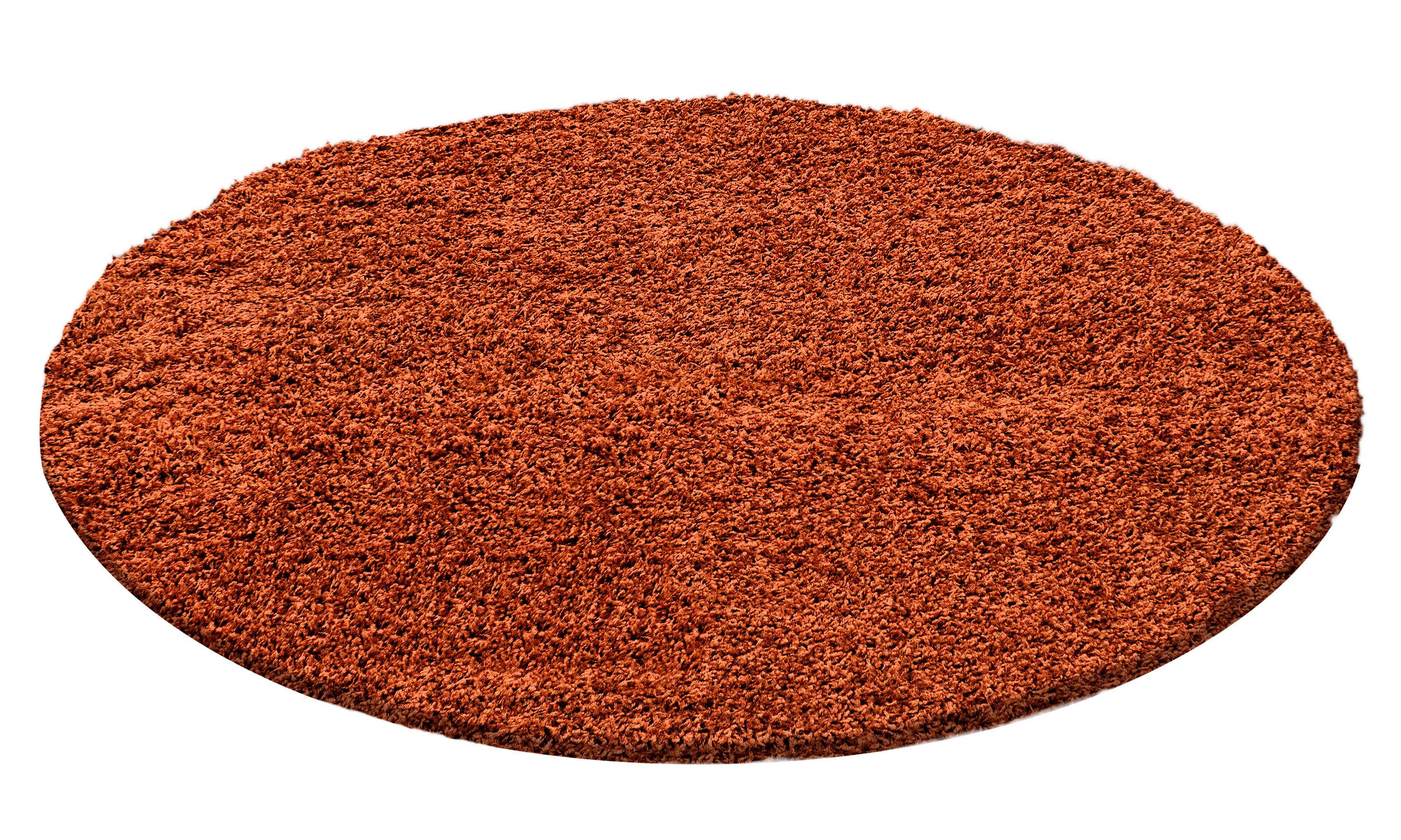Hochflor Teppich Terra Cotta Life Rund Ø 160 cm - Terracotta, Trend, Textil (160cm)