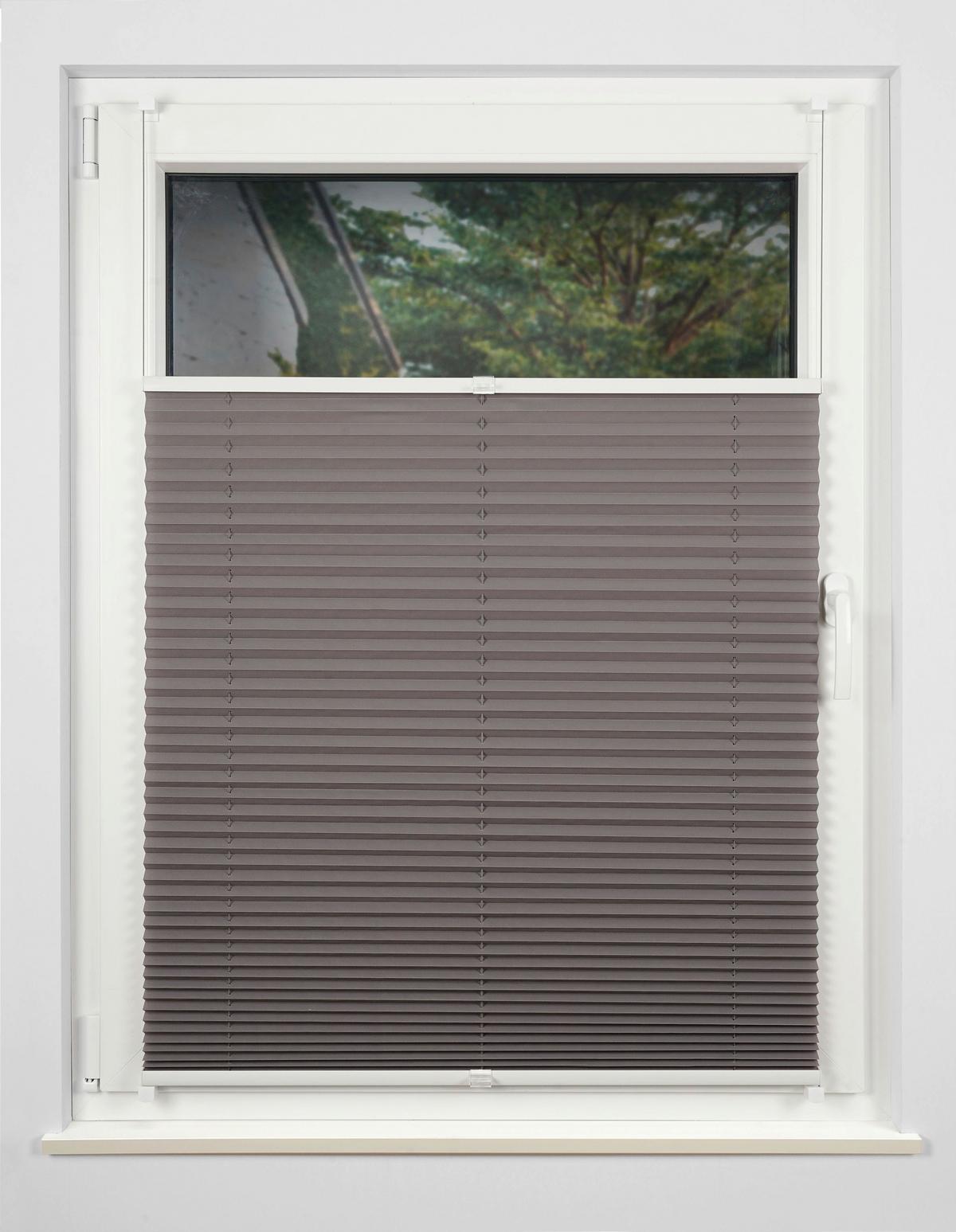 Plissee Free Hellgrau B: 100 Cm - Hellgrau, Basics, Textil (100/130cm) - Homeware