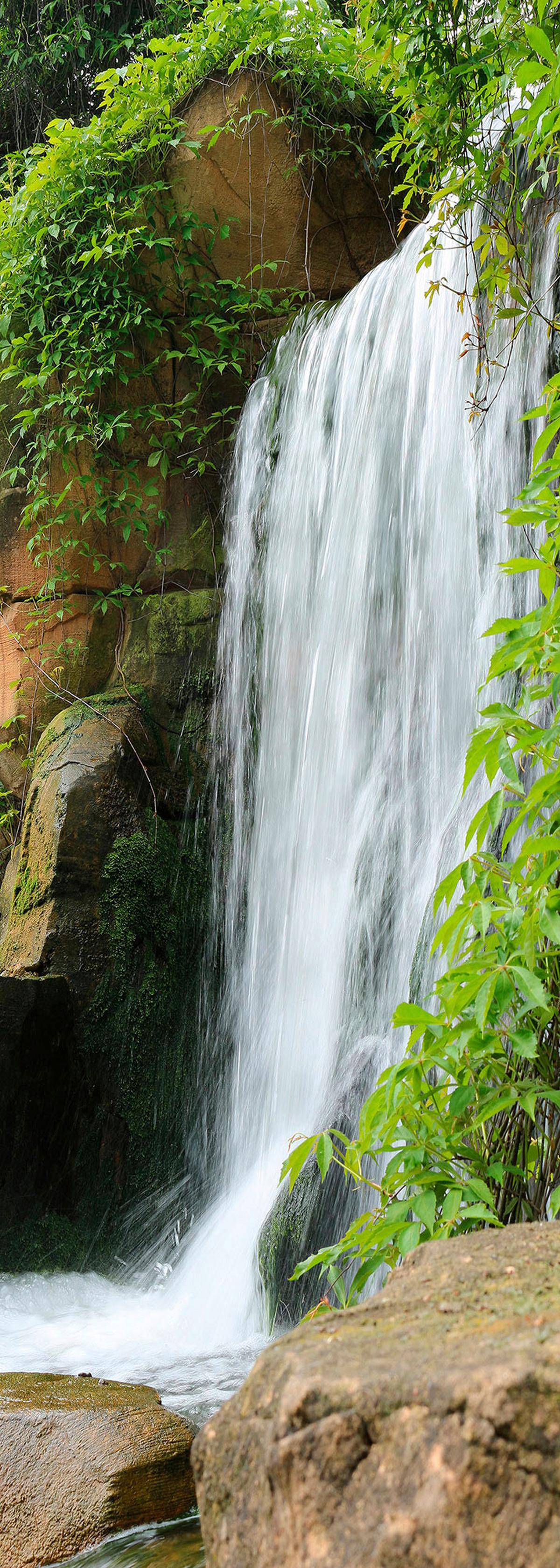 Vliestapete Swoosh - Multicolor, Basics (100/280cm) - Komar